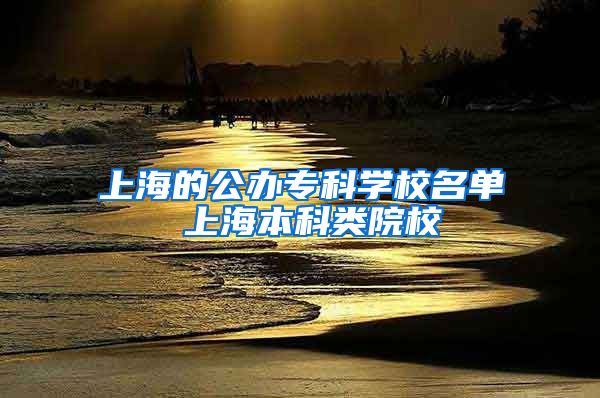 上海的公办专科学校名单 上海本科类院校