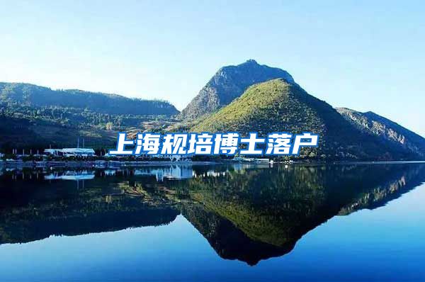 上海规培博士落户