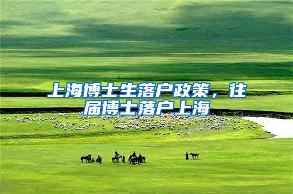 上海博士生落户政策，往届博士落户上海