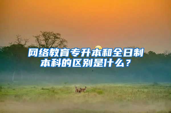 网络教育专升本和全日制本科的区别是什么？