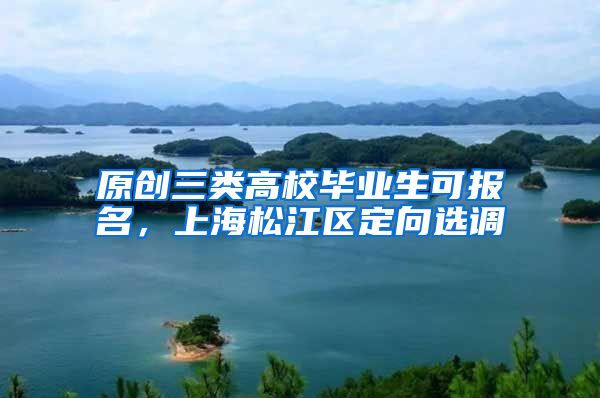 原创三类高校毕业生可报名，上海松江区定向选调