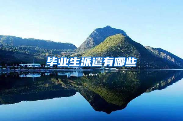 毕业生派遣有哪些