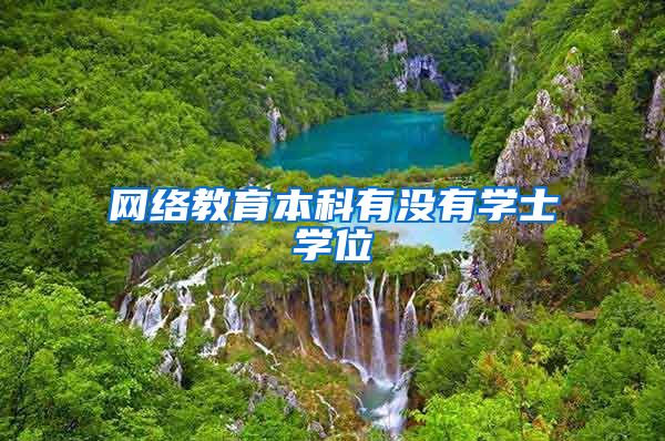 网络教育本科有没有学士学位