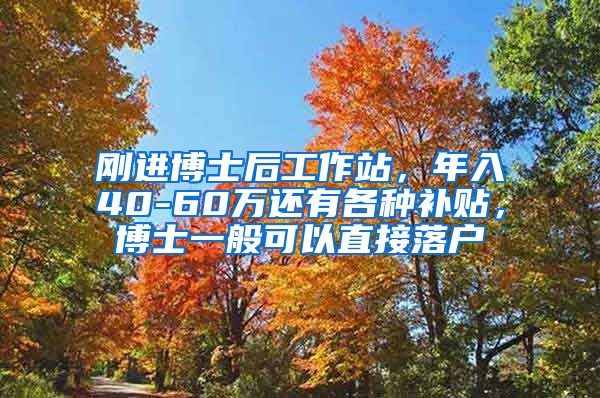 刚进博士后工作站，年入40-60万还有各种补贴，博士一般可以直接落户