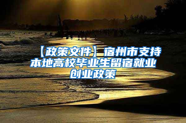 【政策文件】宿州市支持本地高校毕业生留宿就业创业政策