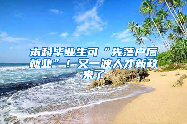 本科毕业生可“先落户后就业”！又一波人才新政来了