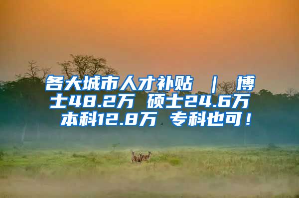 各大城市人才补贴 ｜ 博士48.2万 硕士24.6万 本科12.8万 专科也可！