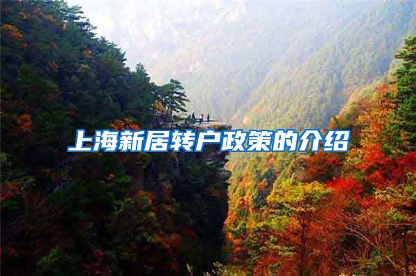上海新居转户政策的介绍