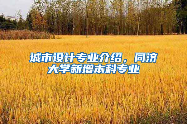 城市设计专业介绍，同济大学新增本科专业