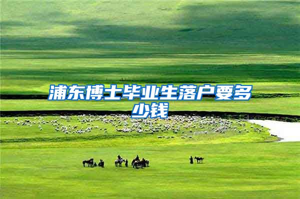 浦东博士毕业生落户要多少钱