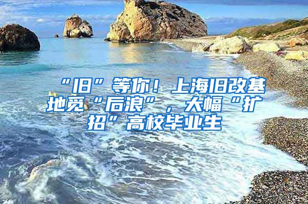 “旧”等你！上海旧改基地觅“后浪”，大幅“扩招”高校毕业生