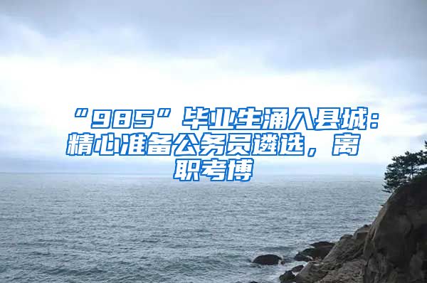“985”毕业生涌入县城：精心准备公务员遴选，离职考博