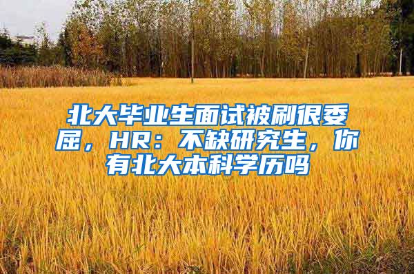 北大毕业生面试被刷很委屈，HR：不缺研究生，你有北大本科学历吗