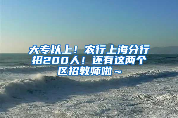 大专以上！农行上海分行招200人！还有这两个区招教师啦～