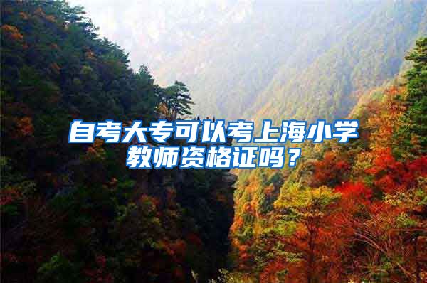 自考大专可以考上海小学教师资格证吗？