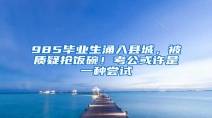 985毕业生涌入县城，被质疑抢饭碗！考公或许是一种尝试
